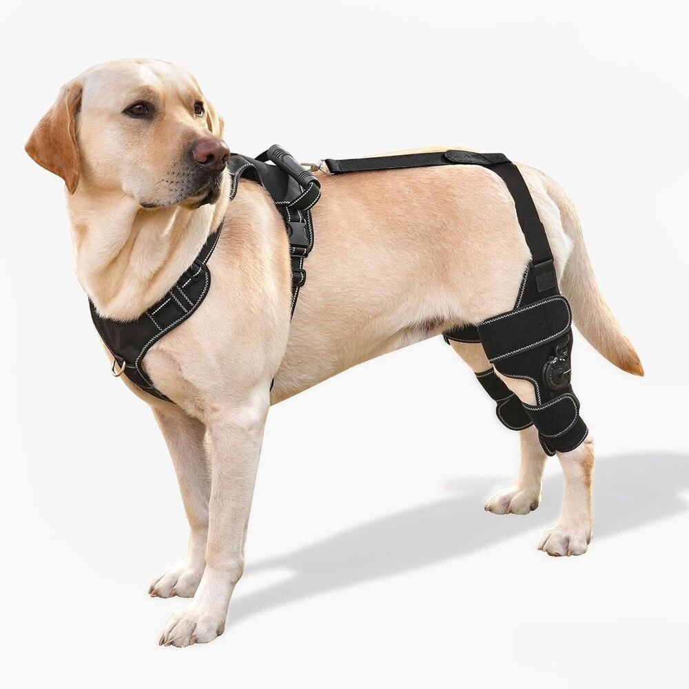 FurWell Dog Knee Brace with Adjustable Support – ACL & CCL Tear Recovery  LARGE